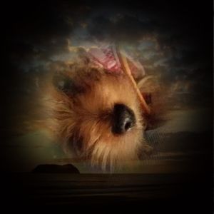 Meet your Posher, Marianne